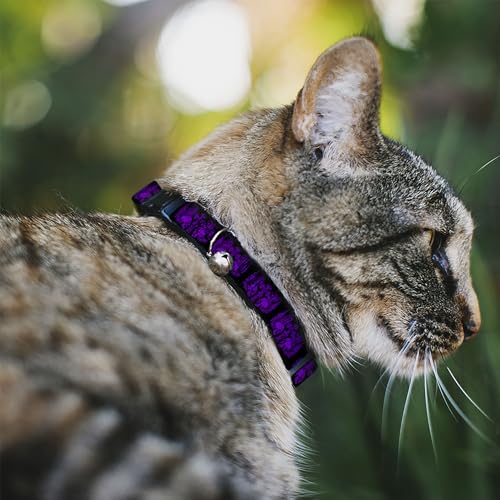 Collar para gato de calaveras mediano ideal para exploradores del hogar 3