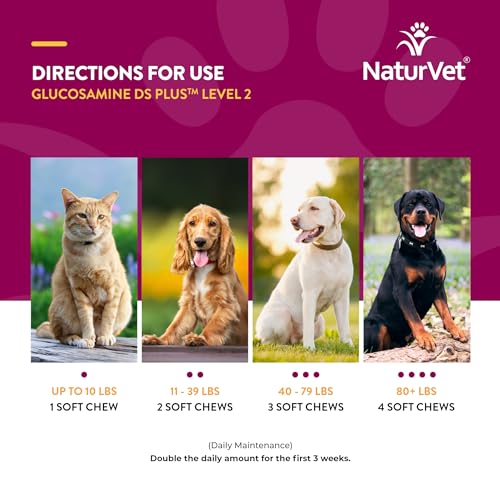 NaturVet Glucosamine DS Plus Level 2 Moderate Gelenkpflege für Hunde und Katzen, 120 ct Soft Chews Made in USA