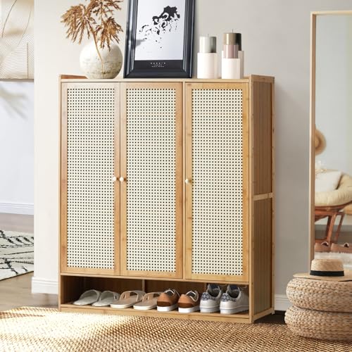shoe storage cabinets