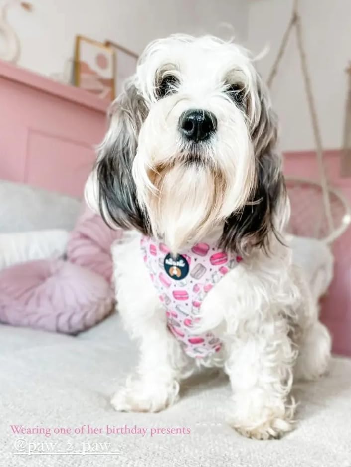 Adjustable macaroon dog harness/car harness/dog harness for no pulling XXS- Medium, Pink, XX Small - Image 2