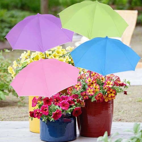 Parasols pour plantes pare-soleil 60 cm - Lot de 4 contre le soleil éclatant - 2