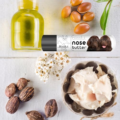 Image of The Blissful Dog Bronze Newfoundland Nose Butter, 15OZ