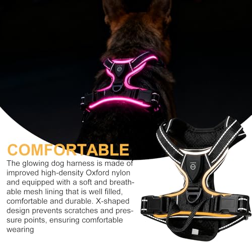 Hundegeschirr Leuchtend, LED Hundegeschirr Aufladbar mit Griff, Leuchtgeschirr LED Verstellbar, 7 Farben Leucht Brustgeschirr Anti Zug Atmungsaktivität & Komfort für Hunden 7.5-17.5kg(Schwarz, M)