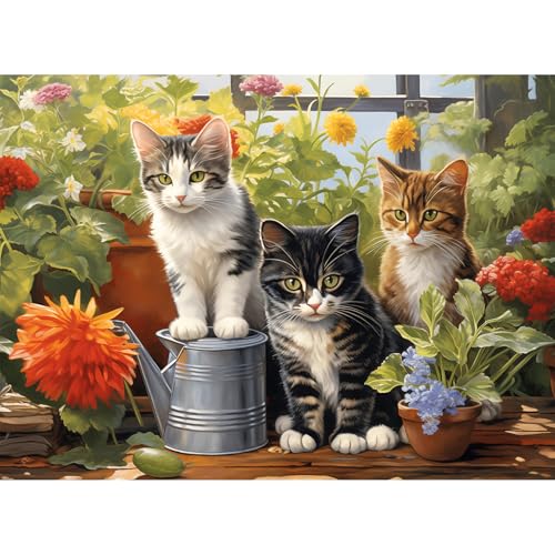 i5238cmjCHengQiSM WO\[pY 500s[X Ԓ̔L pY 500s[X L lR [pY  G  CeA v[g