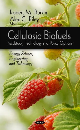 Cellulosic Biofuels: Feedstock, Technology and Policy Options (Energy Science, Engineering and Technology)