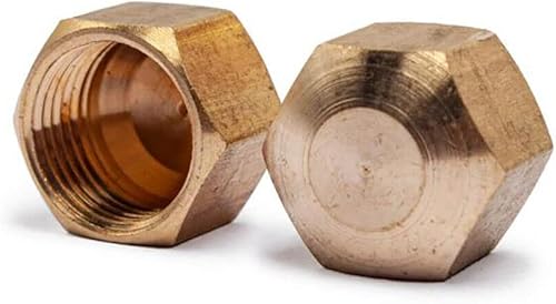 MaxLLTo Paquete de 2 tapas de compresión de latón sin plomo 61CX de 5/16 pulgadas para Thrifco Plumbing 4401346