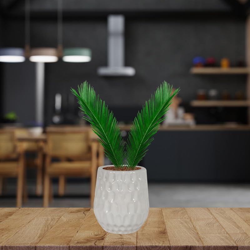 See full amazon price history chart for Lasaki Spanish Pineapple Big White Ceramic Pots for Indoor Plants, Planters,gamla,Outdoor,Balcony,Home,Round,Garden, Office Decor,Succulent(H - 21.5 X D - 18.5 cm)(Plants not Included) Lasaki Spanish Pineapple Big White Ceramic Pots for Indoor Plants, Planters,gamla,Outdoor,Balcony,Home,Round,Garden, Office Decor,Succulent(H - 21.5 X D - 18.5 cm)(Plants not Included) (B0CVGZ3322) Amazon Price History, Amazon Price Tracker