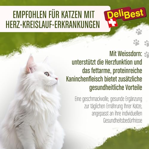 DeliBest Cat Snack aus Kaninchen mit Weissdorn/Katzen Leckerlies getreidefrei/Katzen Snack ünterstützt Herz-Kreislauf-Funktionen, fettarm und proteinreiches Fleisch / 45g