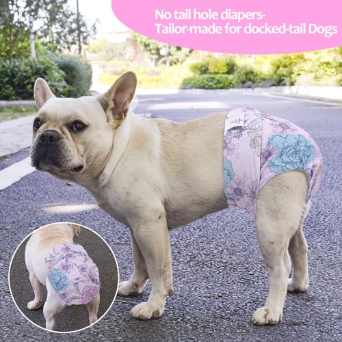 Image of CuteBone Washable Dog Diapers Female No Tail Hole 3 Pack Reusable Doggie Period Training Pants for Docked-Tail Frenchie French Bulldog Boston Terrier Without Tail WWD16S