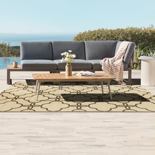 Ashler Outdoor Rug, Outdoor Plastic Straw Rug, 5x8