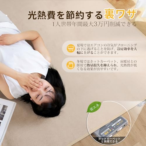 SOMANT ラグ 1畳 カーペット 夏用ラグマット 絨毯 滑り止め付き 防音 厚手 防ダニ 防臭 素肌にやさしい 北欧風 おしゃれ 抗菌 床保護 転倒を防ぐ 床暖房対応 ホットカーペット対応 モカ色100×140cm [3]