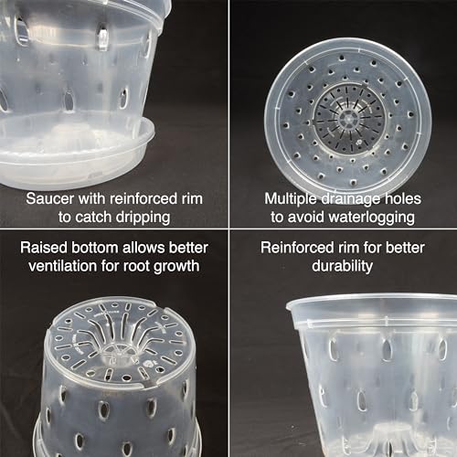 Greenology 15cm / 6" Pack of 5 Orchid Flower Pots with Saucers and Side Drainage in Durable Soft Clear Plastic - Image 3