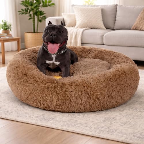 Image of ZEXSAZONE Summer Round Donut Comfortable Durable Both Sides usable and Washable Pet Bed | Dog Bed | Puppy Bed | Cat Bed | Mat Cat | Medium Dog Bed for Cats Puppies Labrador German Shepherd Bulldogs