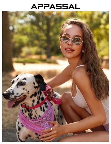 Retro Oval Sunglasses for Women Men Trendy Large Round Y2k Sunnies AP3681