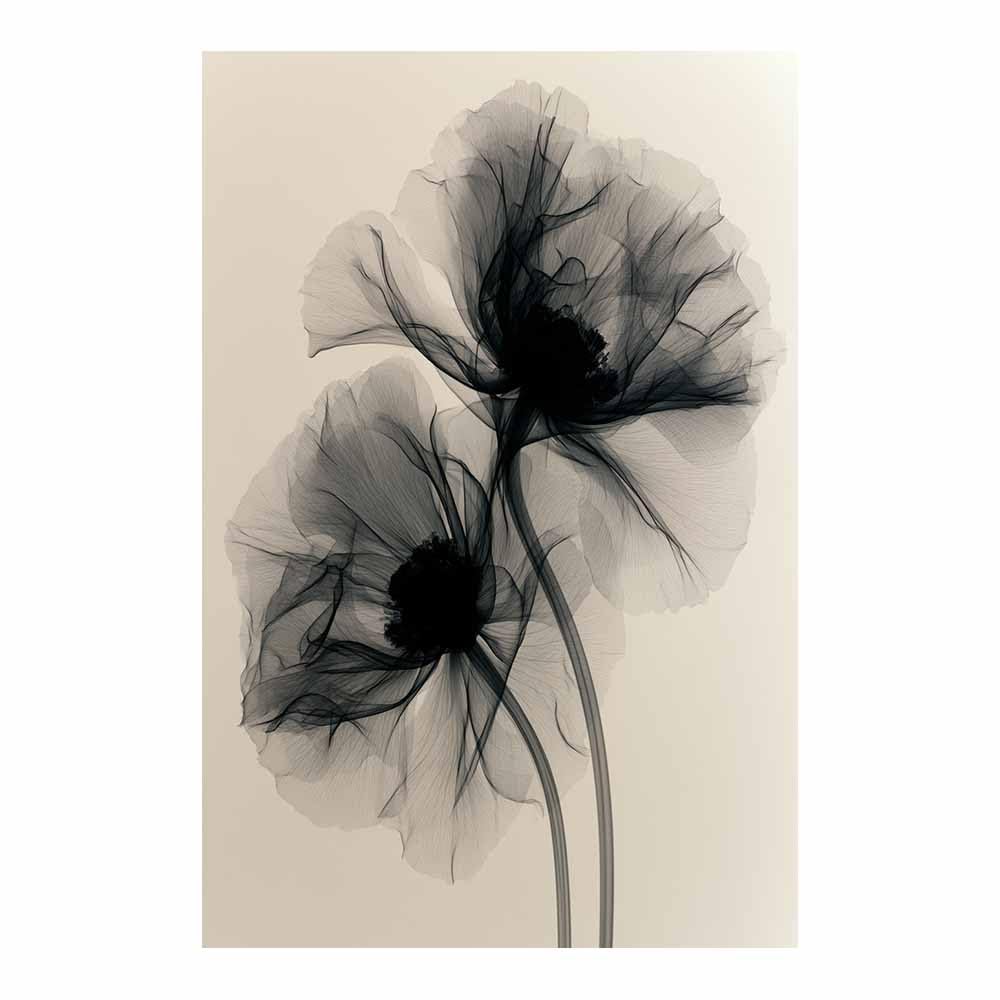 HOQIU Black And White Pictures For Walls Transparent Poppy Monochrome prints for walls, canvas wall art, for Living Room Bedroom Bathroom Home Office Wall Decoration(Multicolor)-80x120cm Unframed