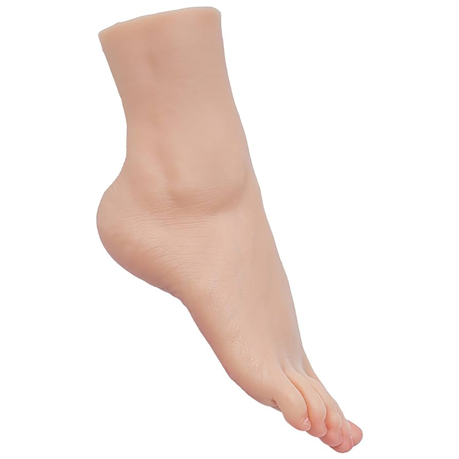 Amazon.co.jp: 等身大 1/1 シリコン製 フットモデル 23.5CM 脚