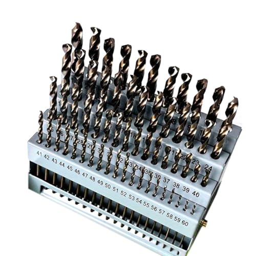 Rfeeuubft Caja de 60 Brocas Pequeñas de Acero de Alta Velocidad con Vástago Redondo y Rectificado Completo de Industrial