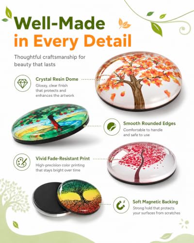 Set de 12 imanes decorativos redondos para refrigerador miniatura 3