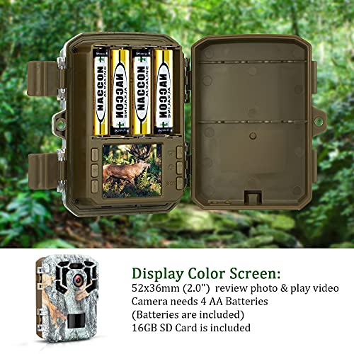 https://m.media-amazon.com/images/I/51TNstN3OJS._SL500_.jpg