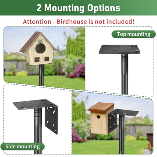Station d'alimentation robuste de 233 cm pour oiseaux de jardin