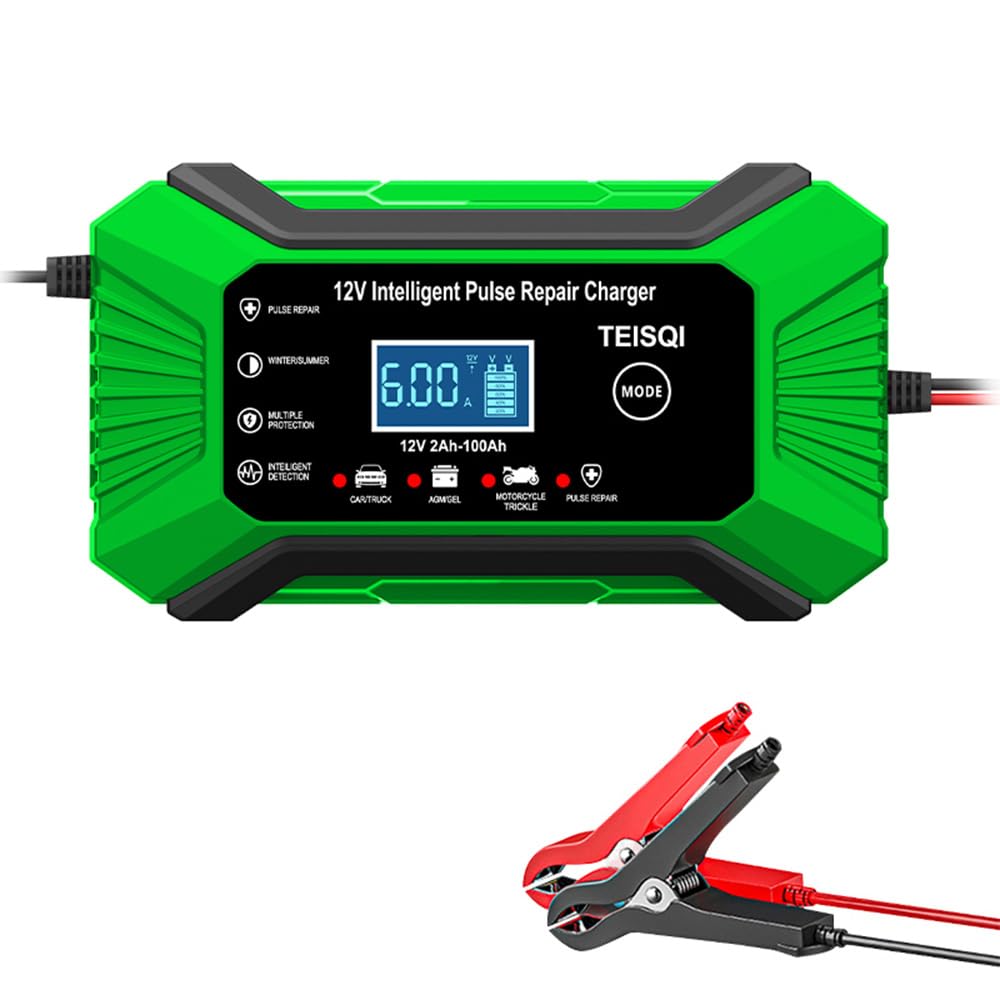 TEISQI Car Mounted 12v 6a Intelligent Battery Charger Detects Battery Voltage, Temperature Compensation, Fully Charged Self Stop, Suitable for Cars, Trucks, Motorcycles, Lawn Mowers, Boats (Green)