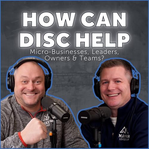 27: How Can DISC Help Micro-Businesses, Leaders, Owners & Teams? cover art