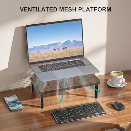 Image of WALI Plastic Computer Monitor Stand for Desk, Adjustable Laptop Riser, Desk Monitor Stand Underneath Storage for Office, Home, School Supplies (PTT001-C), 1 Pack, Brown