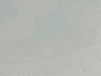 Amazon.co.jp: センチメンタルサーカスA4判アクリルプレート／10