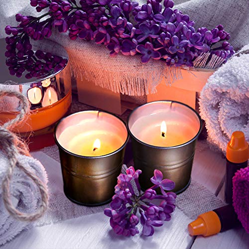 Citronella Candles Outdoor Small Metal Bucket Candle Soy Wax Fly Candle Use For Outdoor And Indoor - 12 Pack #TOP1