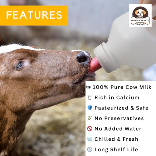 Image of Cow & Buffalo Feeding Bottle - Large Capacity, BPA-Free, Anti-Colic Nipple, Leak-Proof, Durable Plastic, Easy-to-Clean Milk Feeder for Calves, Animals, Dairy Farm Essentials. (2.5 LITRE)
