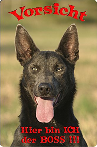 Preisvergleich Produktbild +++ Australian KELPIE - Metall WARNSCHILD Schild Hundeschild Sign - AKE 04 T7