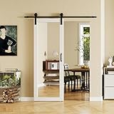 SOLRIG Mirrored Barn Door 30in x 84in, 1 Lites Mirror Panel with 6FT Sliding Hardware Kit Set, Pre-drilled Finished Door Slab, Decorative Full Length Mirror Insert, MDF, White