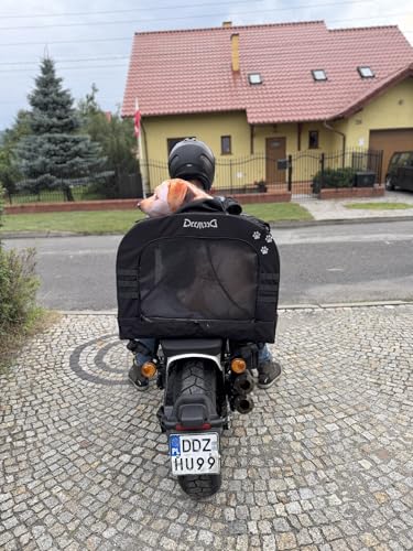 DEEMEED Hundetasche Motorrad XL - Transportbox für große Hunde bis 36kg - Universalbefestigung für Sissybar & Gepäckträger - Cordura 1500D, stabilisierter Aluboden & maximale Belüftung
