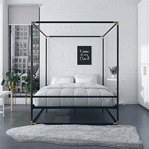 Cosmoliving By Cosmopolitan Cosmoliving Celeste Canopy Metal, Queen Size Frame, Black/Gold Bed #TOP3