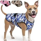 LUCOLOVE Dog Cooling Vest - 2-Layer Cooling with Soft Microfiber Fabric - Lightweight, Adjustable and Comfortable - UV Protection for Small to Large Dogs - Relief in Hot Weather (Blue, Large)