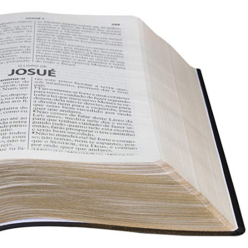 Bíblia Sagrada ARA Letra Gigante: Almeida Revista e Atualizada (ARA)