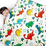 Lukeight Dinosaur Toddler Blanket Gifts for Boys and Girls, Plush Dino Throw Blanket for Kids and Adults, Thick and Warm Kids Blanket for Teens Birthday (Dinosaur, 50x60 Inches)