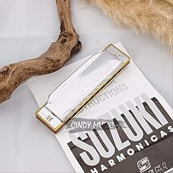 Harmonica diatonique Silver Folkmaster Gaita Standard 10 trous Harmonica diatonique débutant Blues Harp - Les Beatles, Paul McCartney, John Lennon, RIngo Starr, George Harrison Harmonica diatonique Silver Folkmaster Gaita Standard 10 trous Harmonica diatonique débutant Blues Harp – Image 4