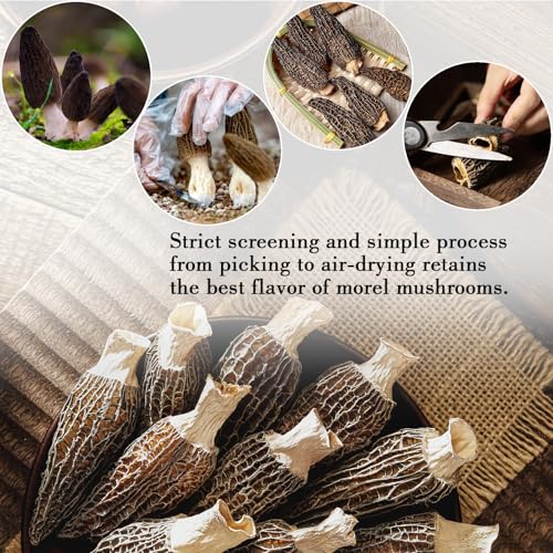 Generic Wild Organic Dried Morel Mushrooms thumb #3