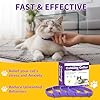 Cat Calming Collar, Pheromone Anti-Anxiety Treatment, Water Resistant, 4 Pack #2