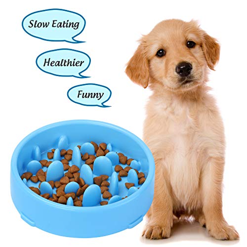 XZQTIVE Slow Feeder Bowl for Dog, Interactive Bloat Stop Dog Bowl Fun Feeder