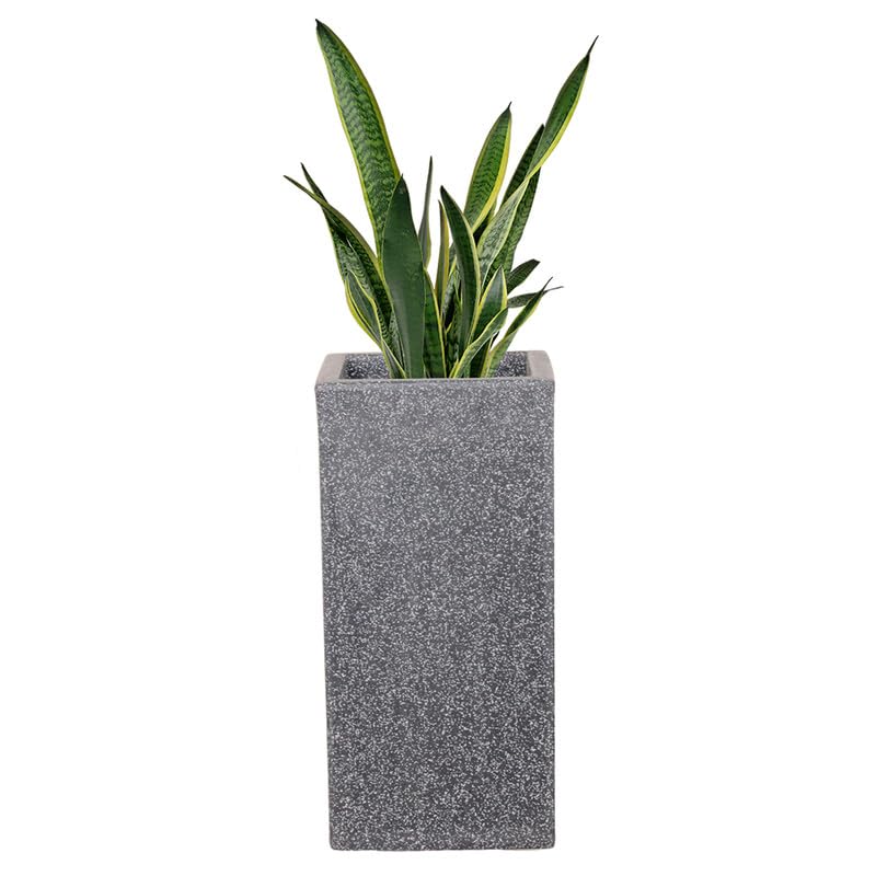 Gardens Plastic Marble Look Cape-Town Pot| Flower Pot for Garden| Plant Container Suitable for Indoor & Outdoor Home/Office/Terrace/Garden Décor - Color :Gray/Granite, Size :16 in(40.64 cm) Set of 1 (B0CZV23CZ8) Amazon Price History, Amazon Price Tracker