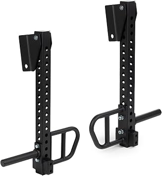 Titan Fitness Titan Series Adjustable Lever Arms, 600 LB Per Arm, Pin-On Power Rack Attachment for Full-Body Strength Training, Upper & Lower Body Workouts