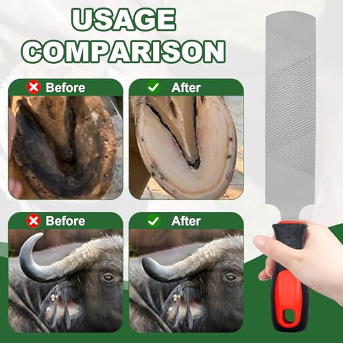 Mriuuod 14 Inch Hoof Rasp, Carbon Steel Farrier File Tool, Trimming Tool Horse Rasp with Handle, Suitable for Horse Donkey Cow Goat Animal Hooves - Image 5