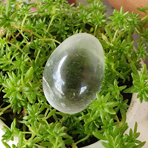 Yoni Egg - Cristal - Pompoarismo energético