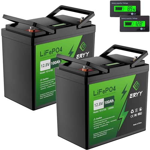 12V 100Ah LiFePO4 Battery Pack (2)