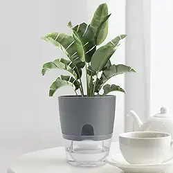Vaso de flores autoirrigável de camada dupla com corda de algodão absorvente, planta interna, vaso de flores de rega automática, decoração de casa, cinza (8,2 x 11,3 cm)