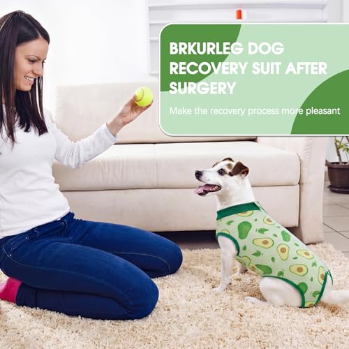 Image of BRKURLEG Small Dog Recovery Suit After Surgery Female Male, Back Zipper Spay Recovery Suit for Dogs & Cats, Anti-Licking Puppy Surgical Onesie for Abdominal Wound, Cone Alternative, Green S