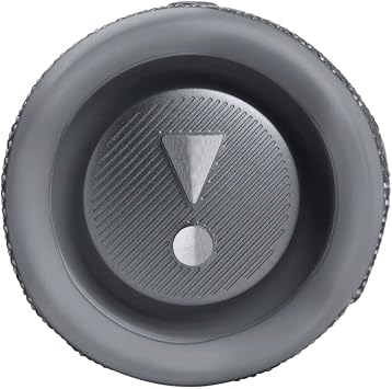 JBL FLIP 6 Waterproof Portable Speaker Bundle with gSport Silicone Sleeve (Gray)