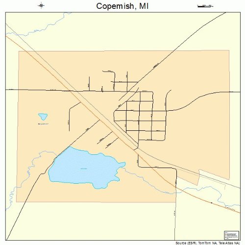 Large Street & Road Map of Copemish, Michigan MI Printed poster size